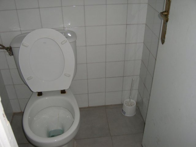 aseocabpatiotraserofucares2